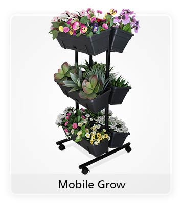Click to see product detail